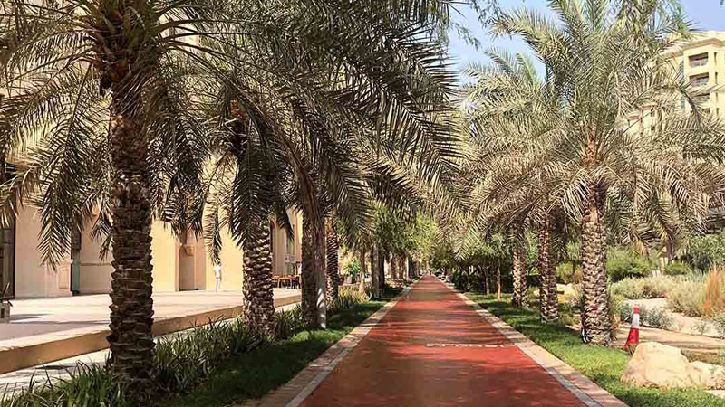 Photo of Al Ittihad Park in Palm Jumeirah Dubai, UAE