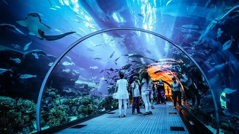 Photo of Dubai Aquarium and Underwater Zoo