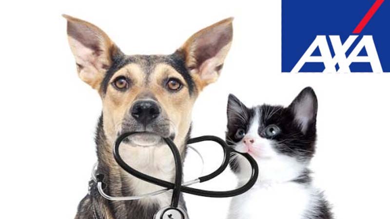 Axa Pet Insurance