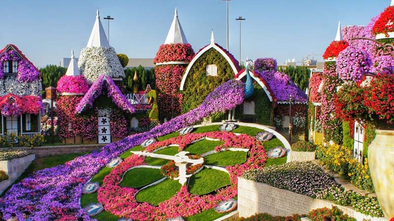 Dubai Miracle Garden : Step into a Floral Wonderland