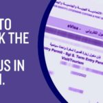 How to Check the Visa Status in Dubai