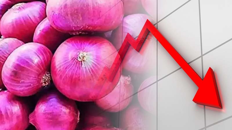 Relief for UAE Consumers: Onion Prices Set to Decline by 20% as India Resumes Exports