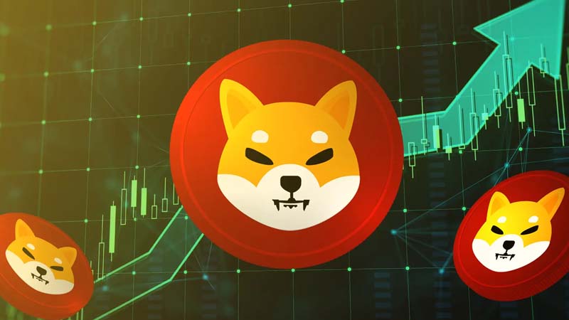 Shiba Inu Forecasted for a 300% Upswing by Market Analyst Xanrox