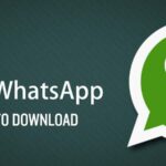 GBWhatsApp: Features and How To Download